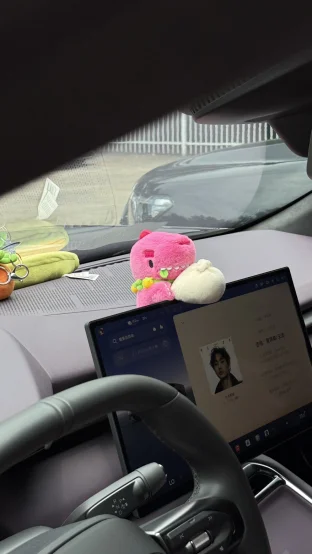 pic