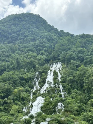 pic