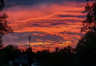 pic
