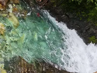 pic