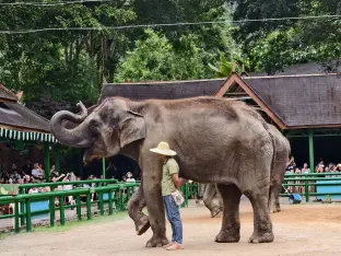 pic