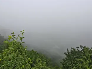 pic