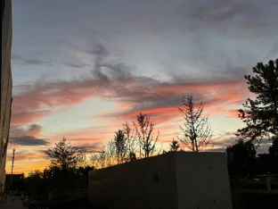 pic