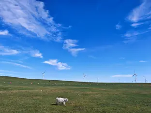 pic