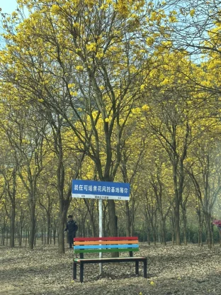 pic