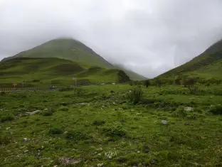 pic
