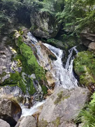 pic
