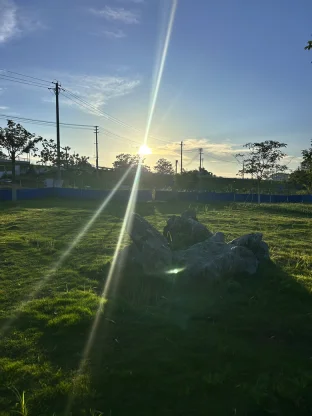 pic