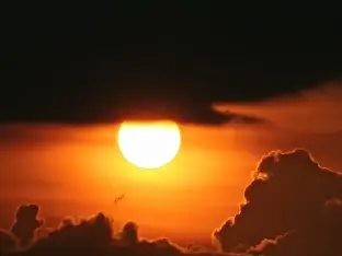 pic