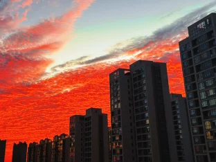 pic