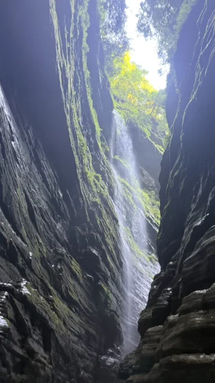 pic