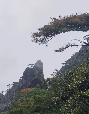 pic