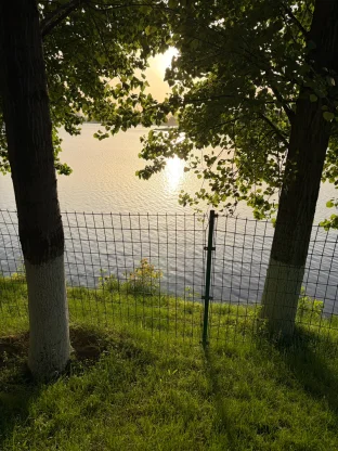 pic