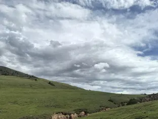pic
