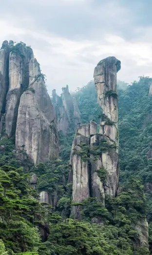 pic