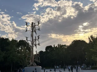 pic