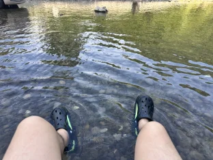 pic