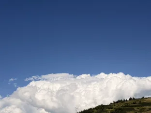 pic