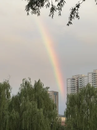 pic