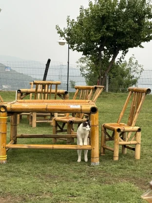 pic