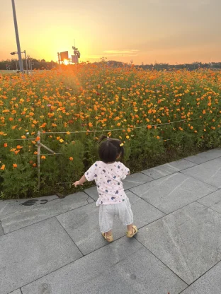 pic
