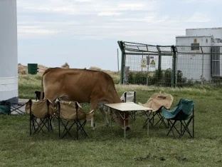 pic