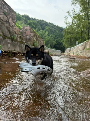 pic