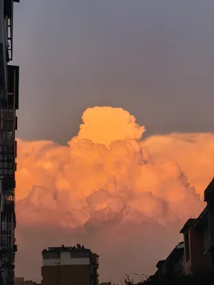 pic