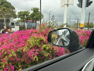 pic