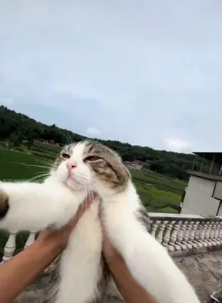 pic