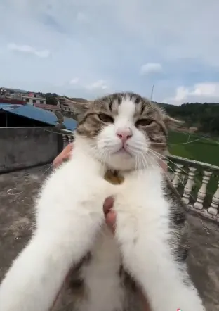 pic
