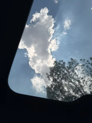 pic