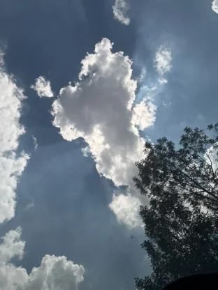 pic