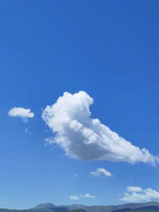pic