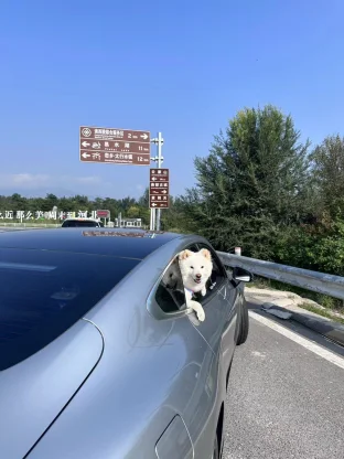 pic