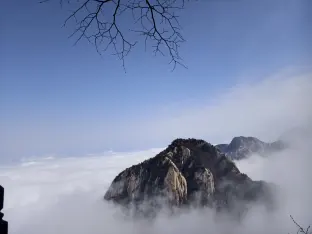pic
