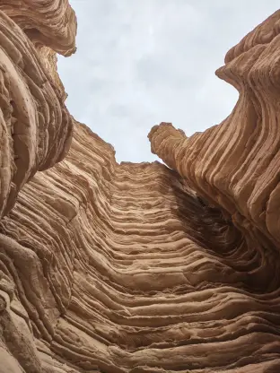 pic