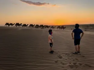 pic