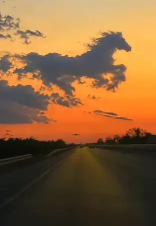 pic