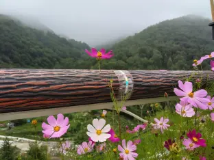 pic