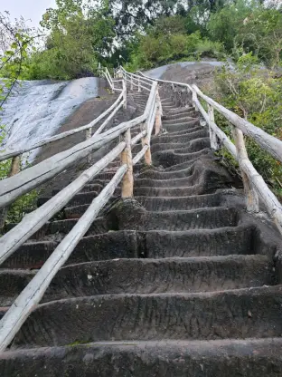 pic