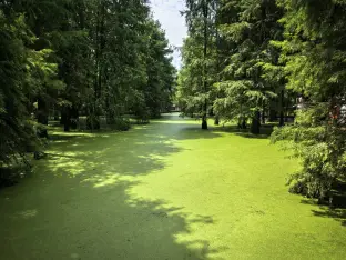 pic