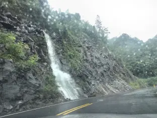pic