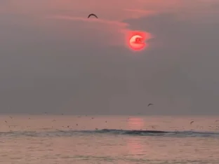 pic
