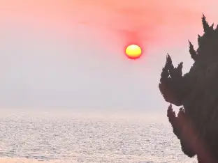 pic