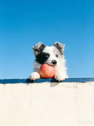pic