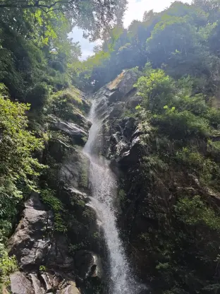 pic