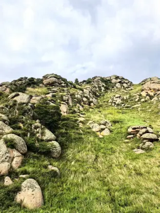 pic