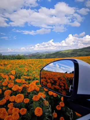 pic