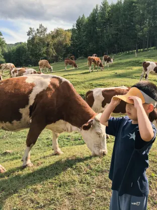 pic